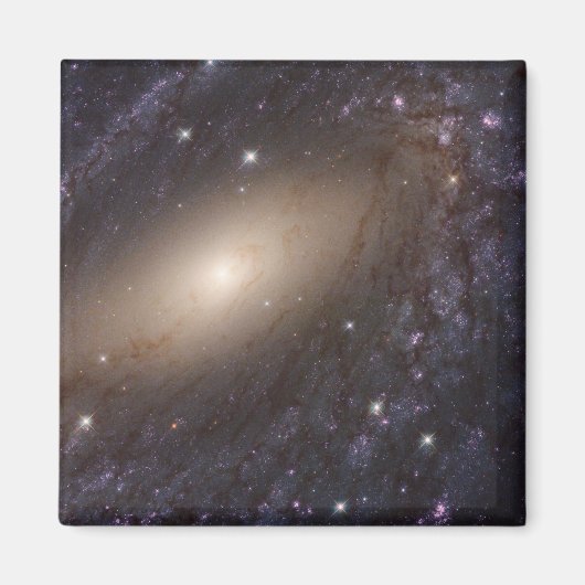 NGC 6744, op 30 miljoen lichtjaar afstand. Magneet (Voorkant)