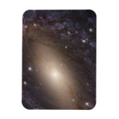 NGC 6744, op 30 miljoen lichtjaar afstand. Magneet (Verticaal)