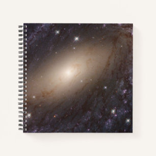 NGC 6744, op 30 miljoen lichtjaar afstand. Notitieboek