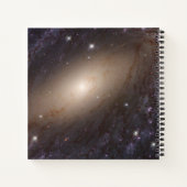 NGC 6744, op 30 miljoen lichtjaar afstand. Notitieboek (Achterkant)