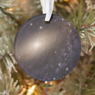 NGC 6744, op 30 miljoen lichtjaar afstand. Ornament