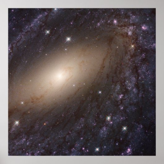 NGC 6744, op 30 miljoen lichtjaar afstand. Poster (Voorkant)
