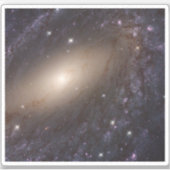 NGC 6744, op 30 miljoen lichtjaar afstand. Sticker (Voorkant)