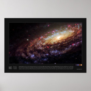 NGC 7331 (Caldwell 30) Poster