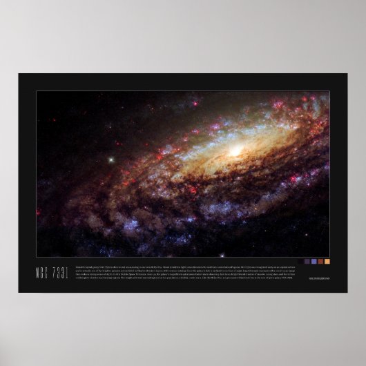 NGC 7331 (Caldwell 30) Poster (Voorkant)