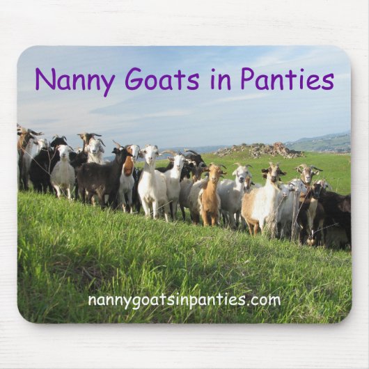 NGIP Mousepad Muismat (Voorkant)