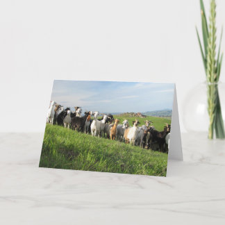 NGIP-Wenskaarten Kaart