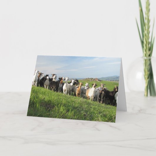 NGIP-Wenskaarten Kaart (Voorkant)