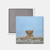 Ngorongoro Crater, Tanzania Magneet (Voorkant / Achterkant)