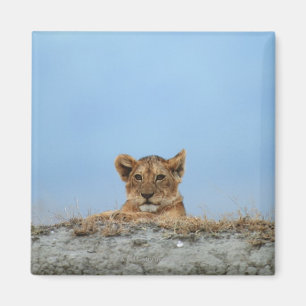 Ngorongoro Crater, Tanzania Magneet