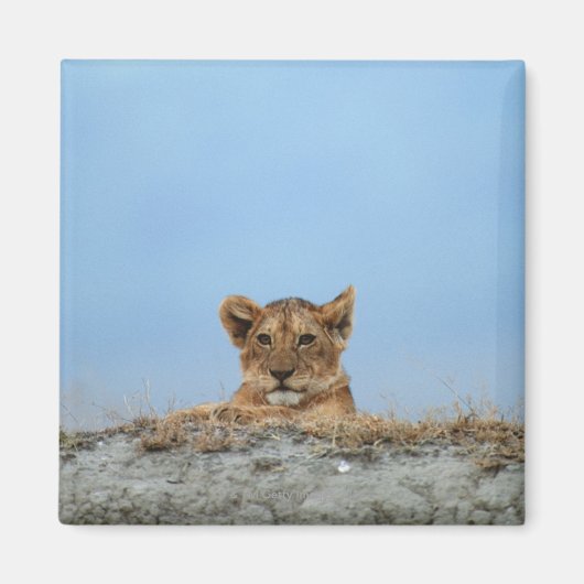 Ngorongoro Crater, Tanzania Magneet (Voorkant)