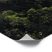 Ngorongoro Crater, Tanzania Poster (Hoek)