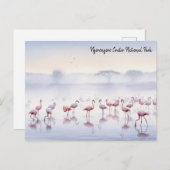 Ngorongoro Tanzania Flamingos Briefkaart (Voorkant / Achterkant)