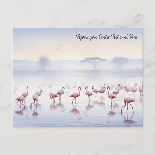 Ngorongoro Tanzania Flamingos Briefkaart (Voorkant)