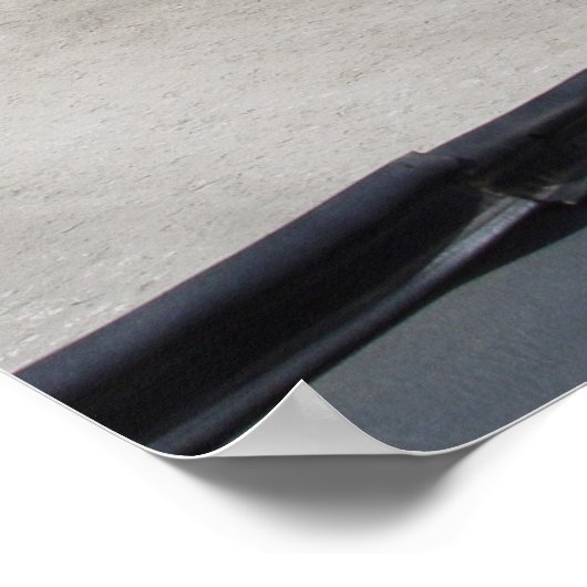 Ngorongoro Wildebeest Poster (Hoek)