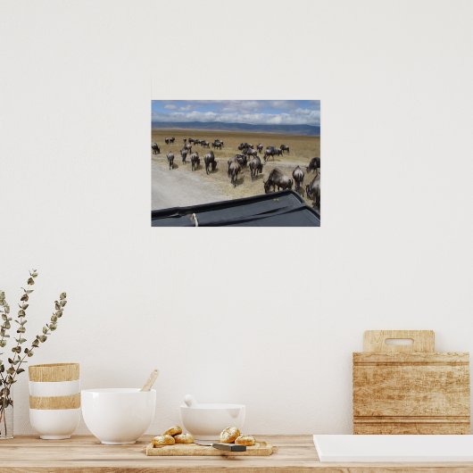 Ngorongoro Wildebeest Poster (Keuken)