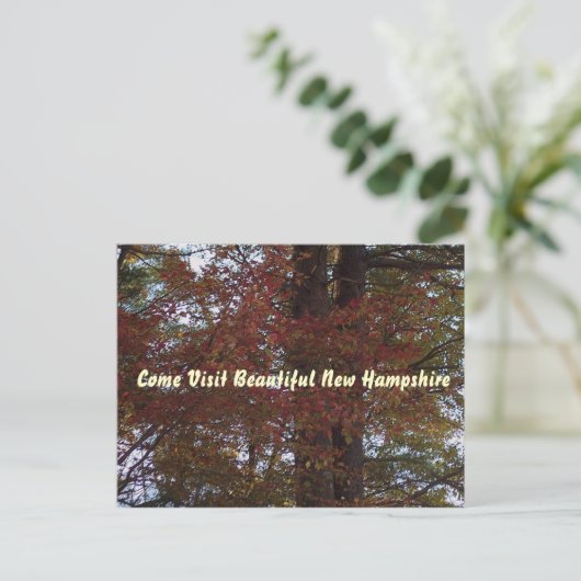 NH briefkaart (Staand voorkant)