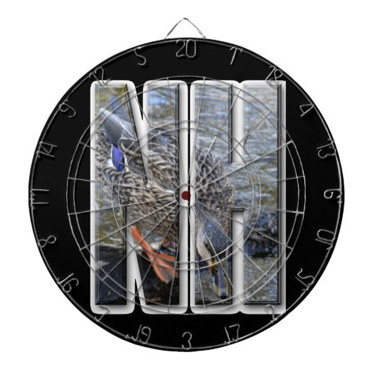 NH NEW HAMPSHIRE DARTBORD (Voorkant)