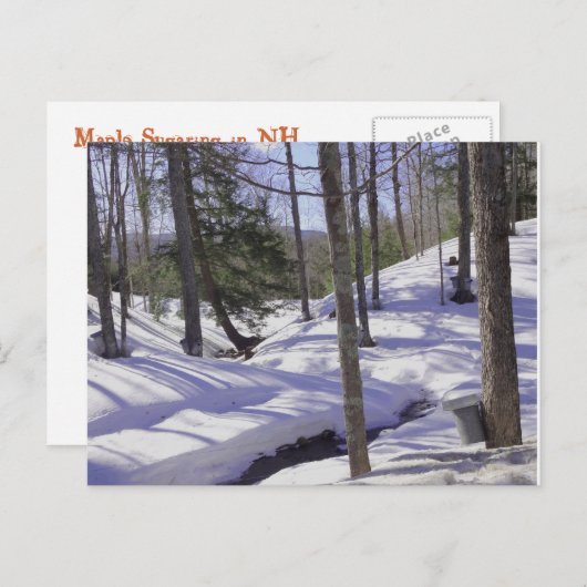 NH Sap Buckets Briefkaart (Voorkant / Achterkant)