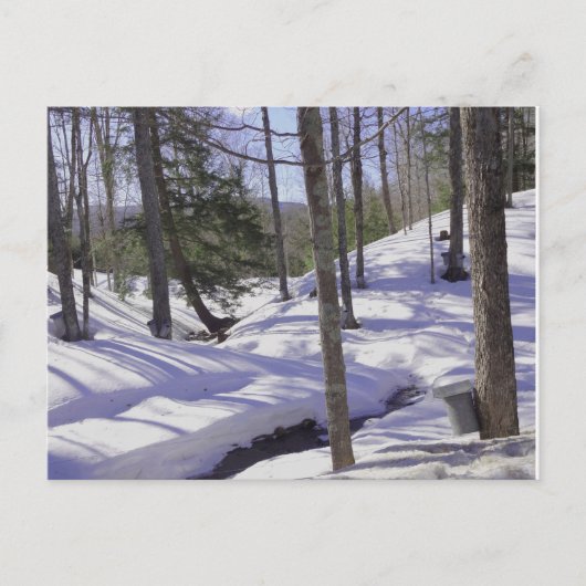 NH Sap Buckets Briefkaart (Voorkant)