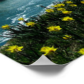 Niagara Falls, Scenic Photograph Poster (Hoek)