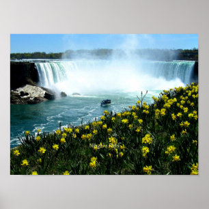 Niagara Falls, Scenic Photograph Poster