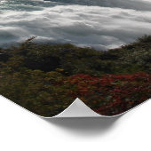 Niagara Herfst Poster (Hoek)