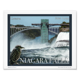 Niagara Herfst Poster