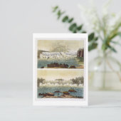 Niagara Herfsten, 1818 (kleurgraving) Briefkaart (Staand voorkant)