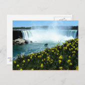 Niagara Herfsten Briefkaart (Voorkant / Achterkant)