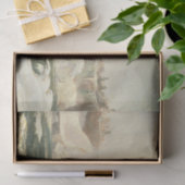 Niagara Herfsten in de winter door Jasper Francis  Tissuepapier (Geschenk)