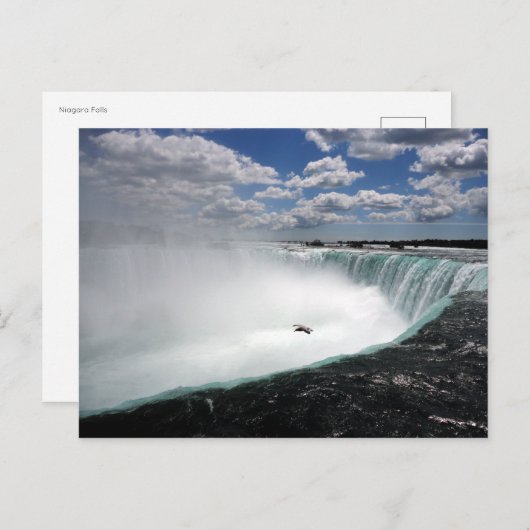 Niagara Herfsten met Seagull Briefkaart (Voorkant / Achterkant)