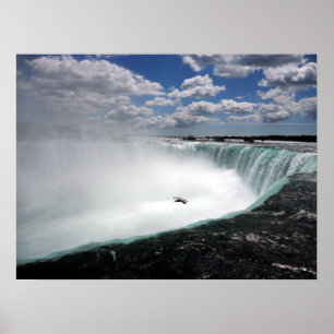Niagara Herfsten met Seagull Poster