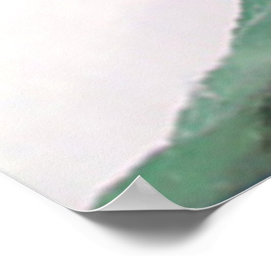 Niagara Herfsten New York Foto Uitzichten Poster (Hoek)