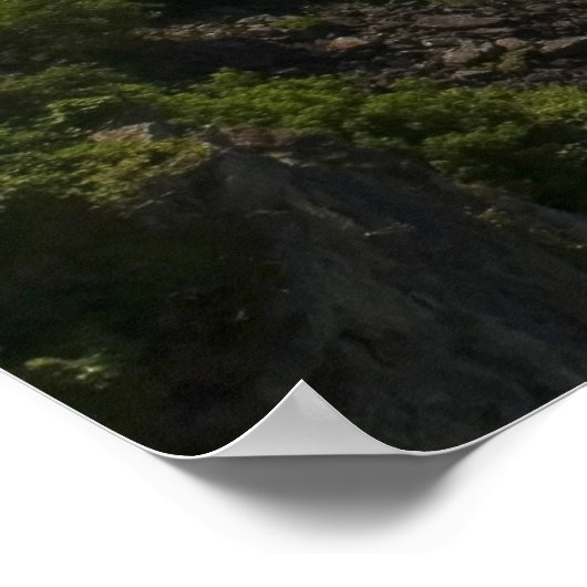 Niagara Herfsten Poster (Hoek)