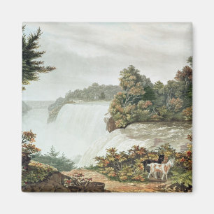 Niagara-Herfsten van Goat Island Magneet