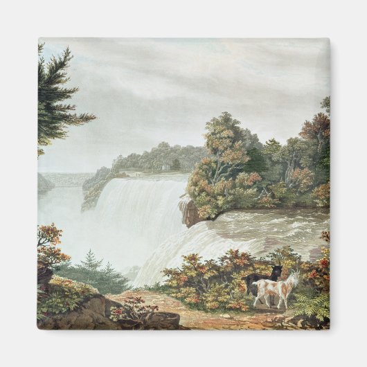 Niagara-Herfsten van Goat Island Magneet (Voorkant)