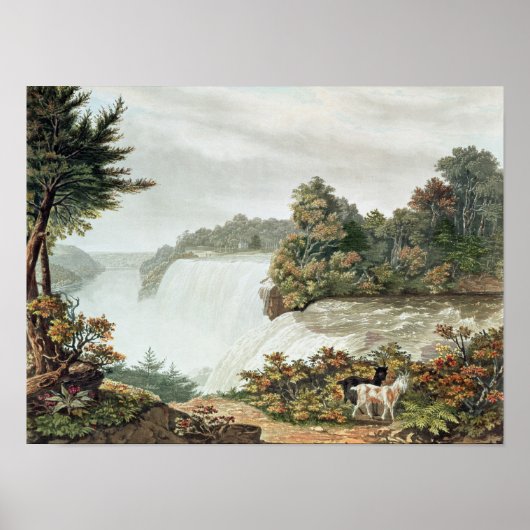Niagara-Herfsten van Goat Island Poster (Voorkant)