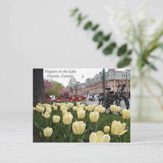 Niagara op het Meer Briefkaart (Staand voorkant)