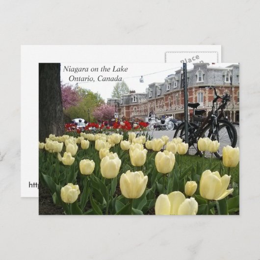 Niagara op het Meer Briefkaart (Voorkant / Achterkant)