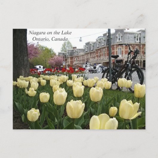 Niagara op het Meer Briefkaart (Voorkant)