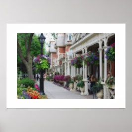 Niagara op het meer poster