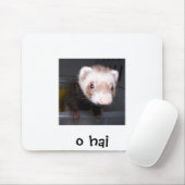 nib, o hai muismat (Met muis)