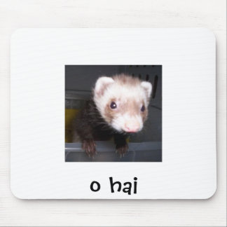 nib, o hai muismat