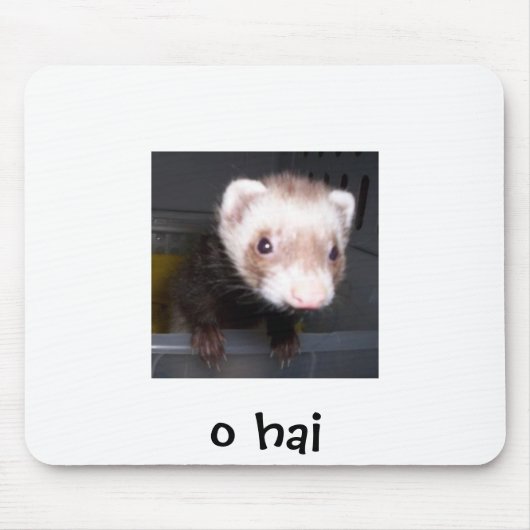 nib, o hai muismat (Voorkant)