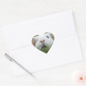 Nibbler stickers (Envelop)