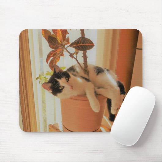 Nibbler vangt muismat (Met muis)