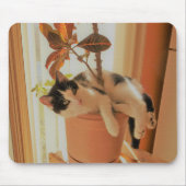 Nibbler vangt muismat (Voorkant)