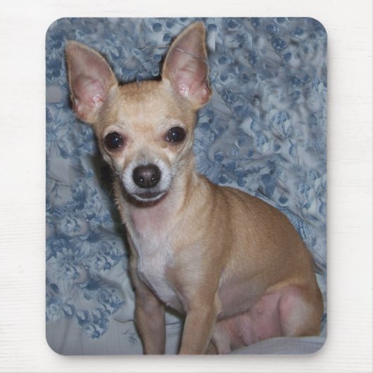 nibblesportret muismat (Voorkant)