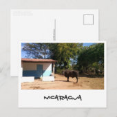 Nicaragua Briefkaart (Voorkant / Achterkant)